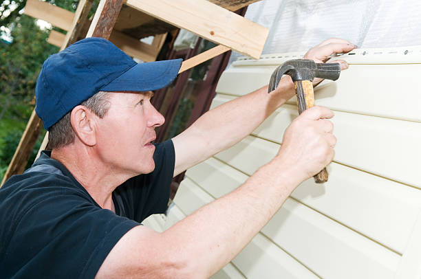 Best Insulated Siding Installation  in Lincolnwood, IL